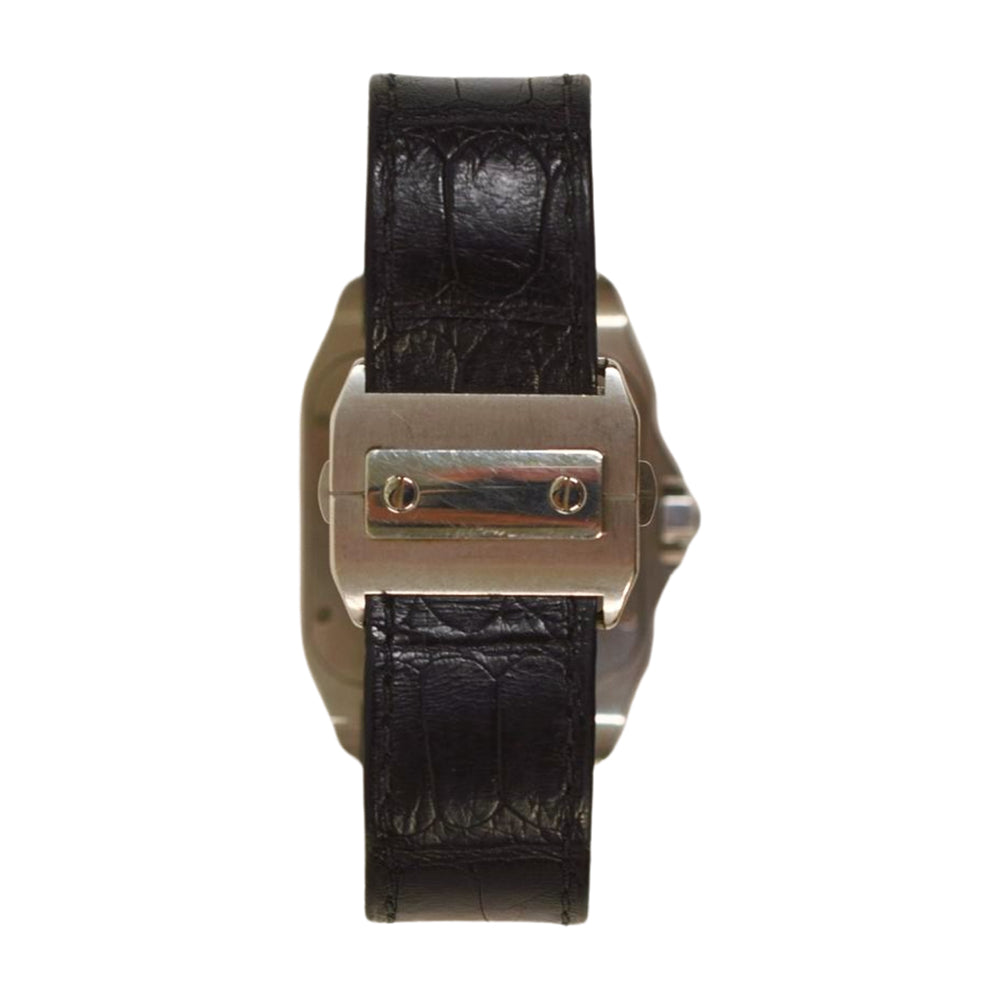 Cartier WSSA0007 - view 9