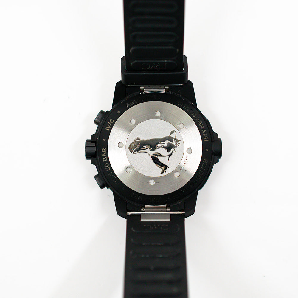 IWC IW379502 - view 7