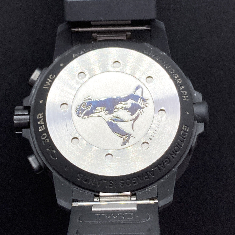 IWC IW379502 - view 8