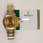 Rolex 116523